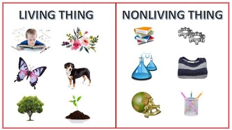 non living things to compare yourself to|What non.